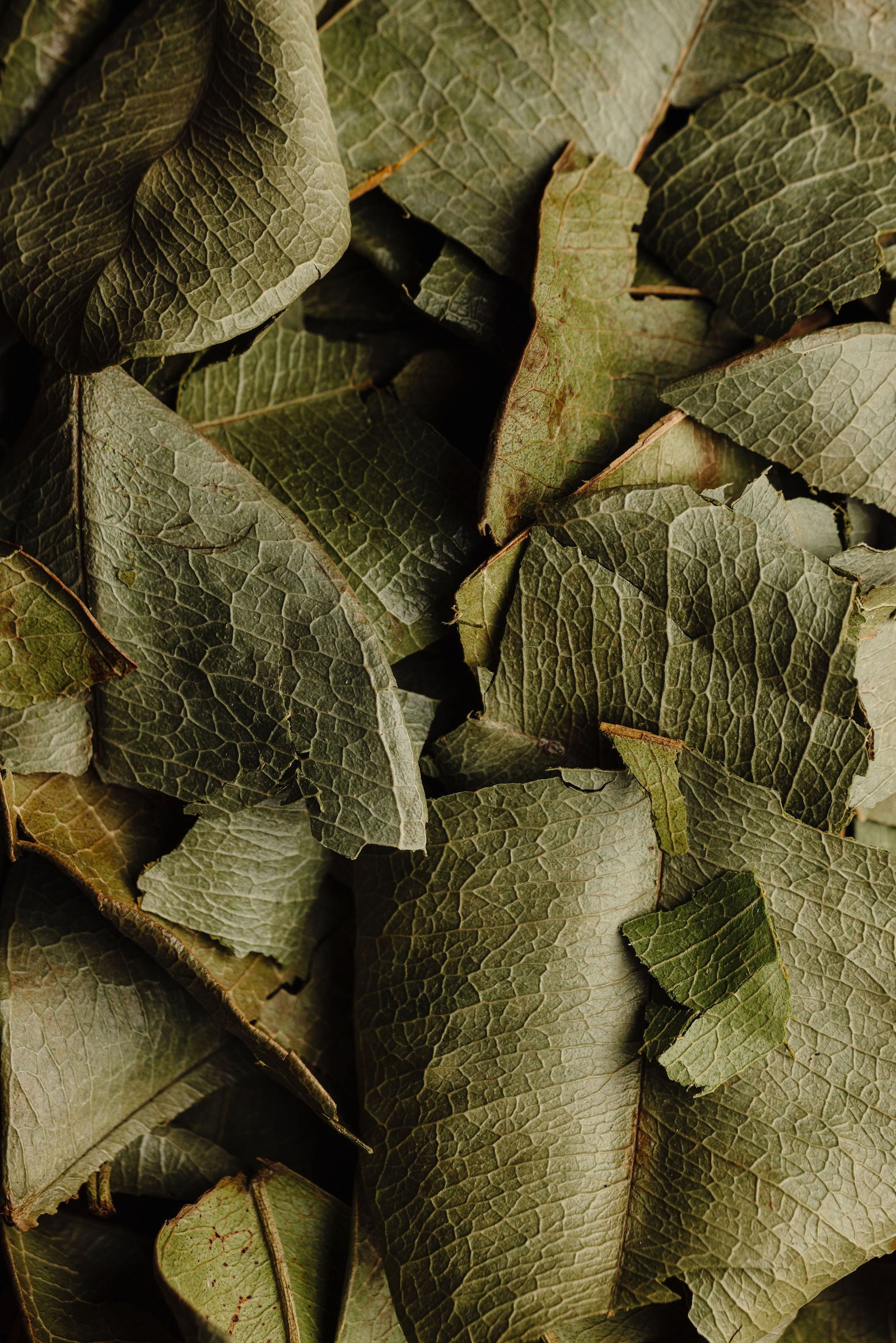 Épicentre — photographie Coline Ciais