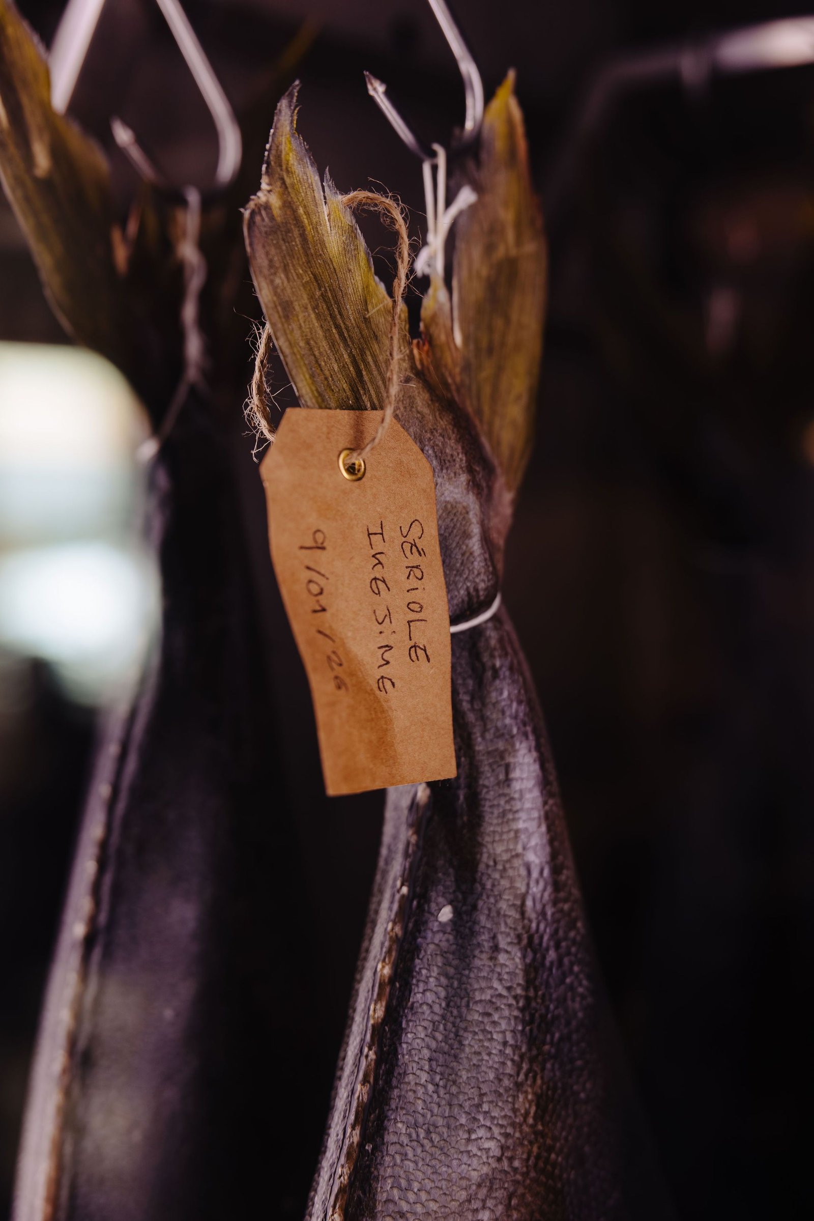 Épicentre — photographie Coline Ciais