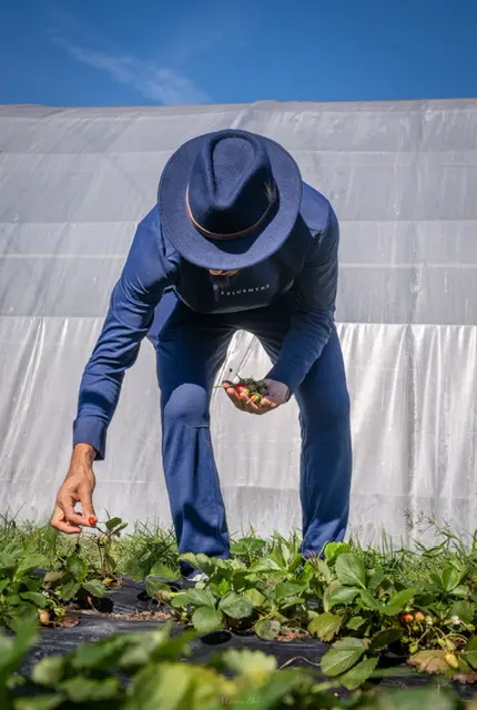 Le Chef au jardin