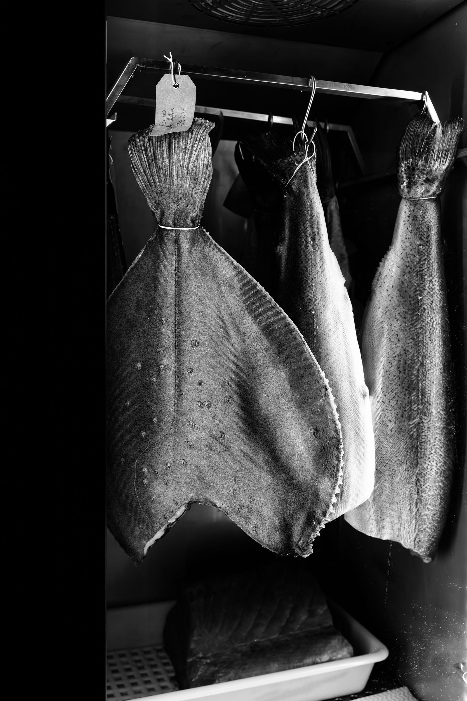 Les pêcheurs partenaires d'Épicentre